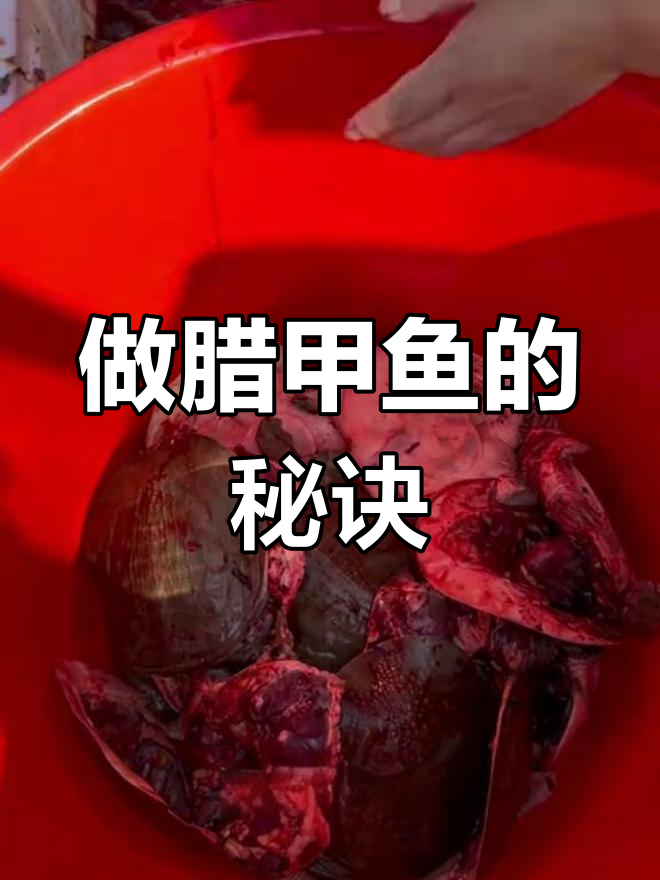 每年做20个腊甲鱼,轻松搞定