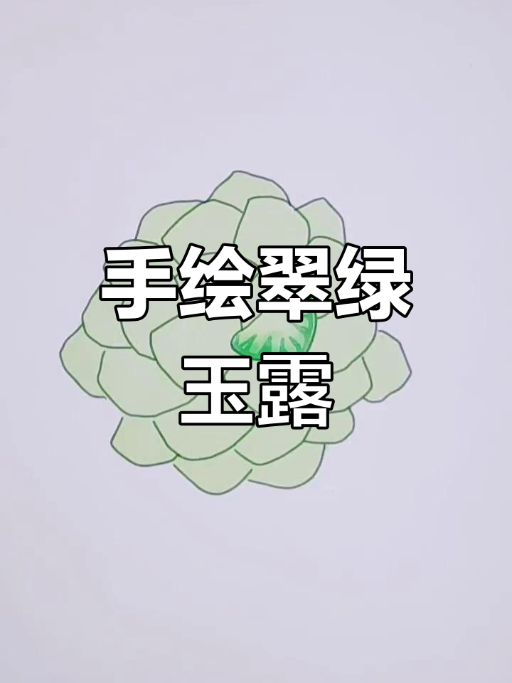 玉露多肉手绘挑战，细节满满超可爱