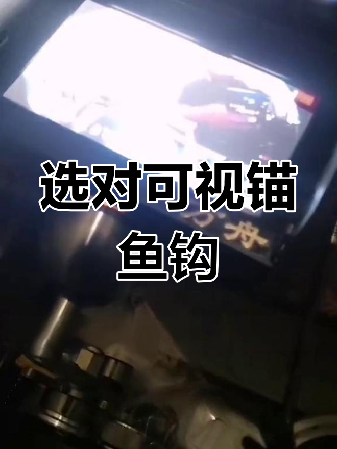 可视锚鱼钩选购指南