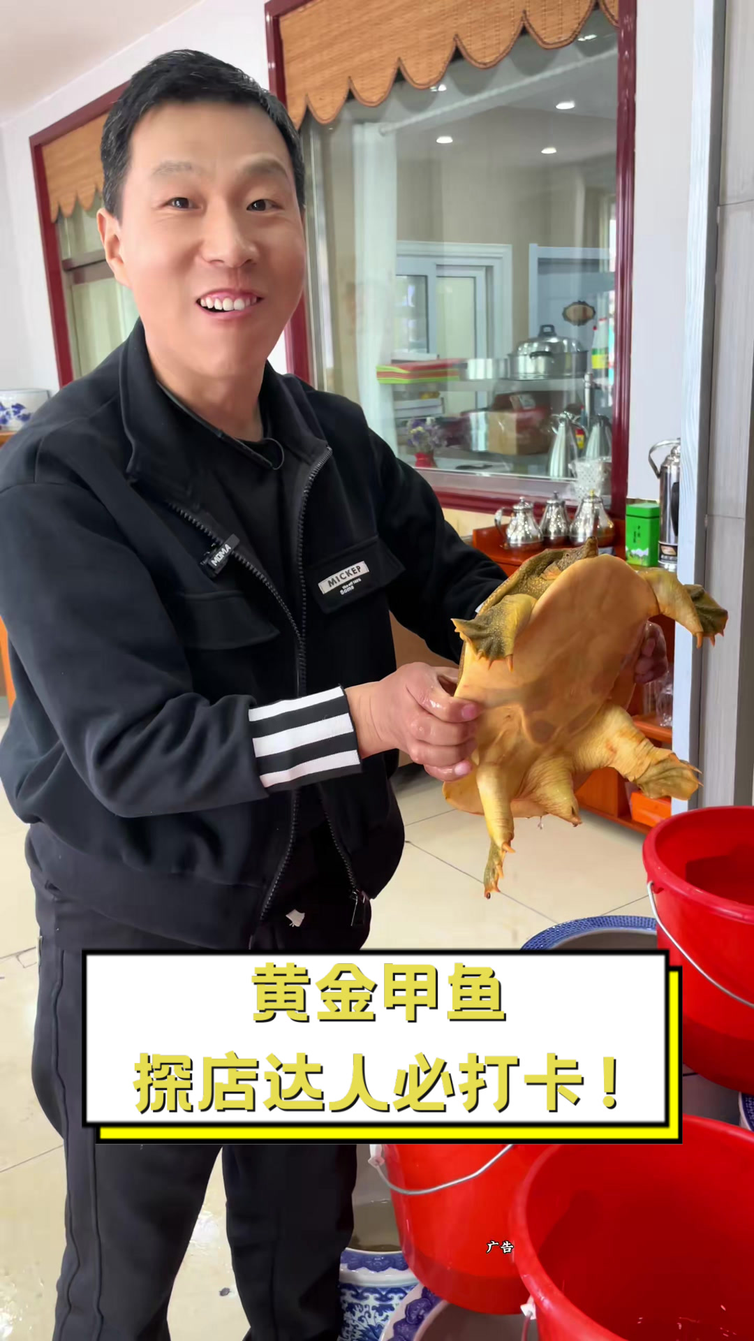 黄金甲鱼,探店达人必打卡!