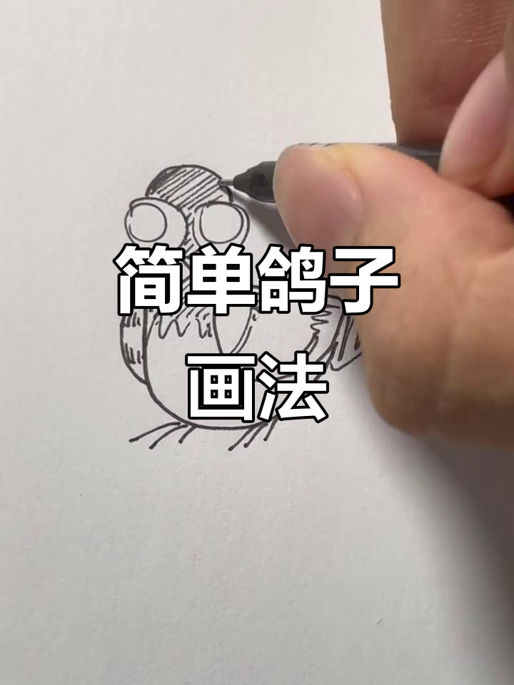 鸽子简笔画教程,轻松画出可爱面包爱好者