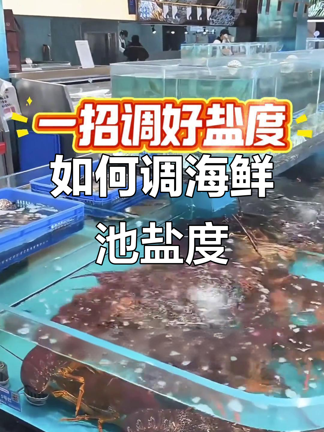 精准调节海鲜池盐度,步骤简单又实用