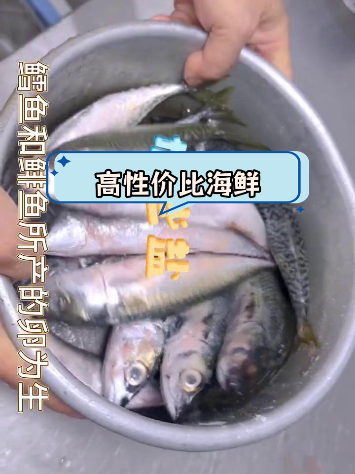 青鱼:营养丰富的深海美味