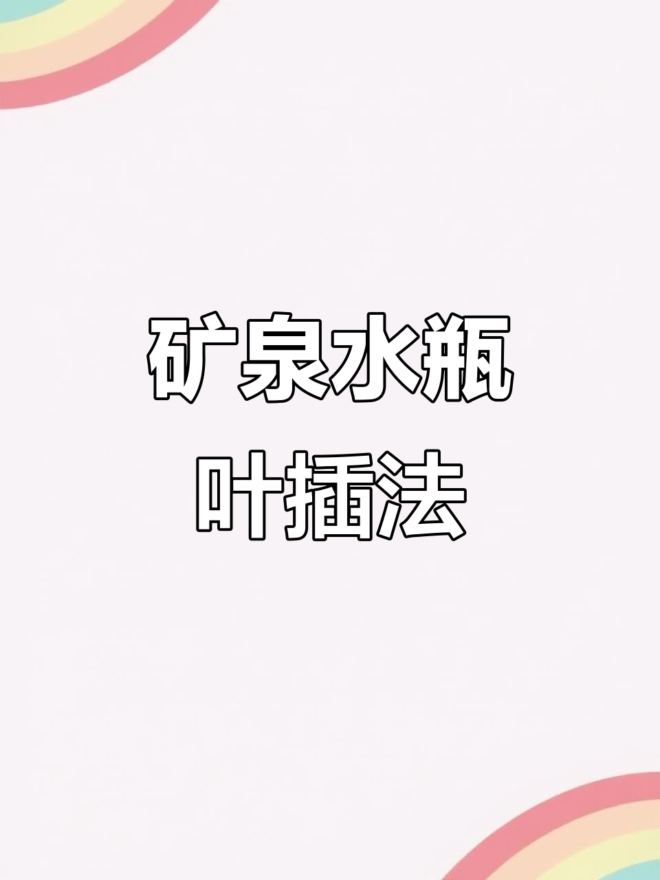 用矿泉水瓶叶插多肉,简单又高效,轻松拥有十几盆