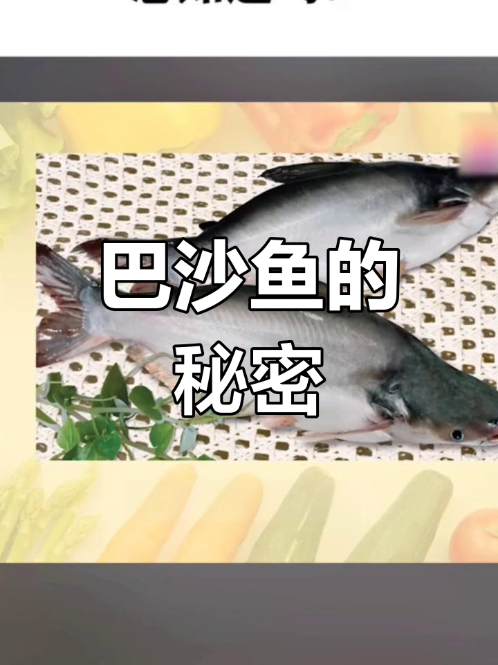 了解巴沙鱼:东南亚特色淡水养殖品种,肉质鲜美无刺