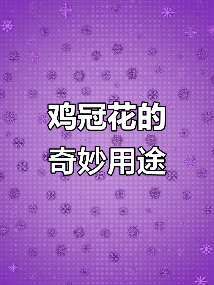 鸡冠花:从花卉到美食,你了解它的多面性吗?