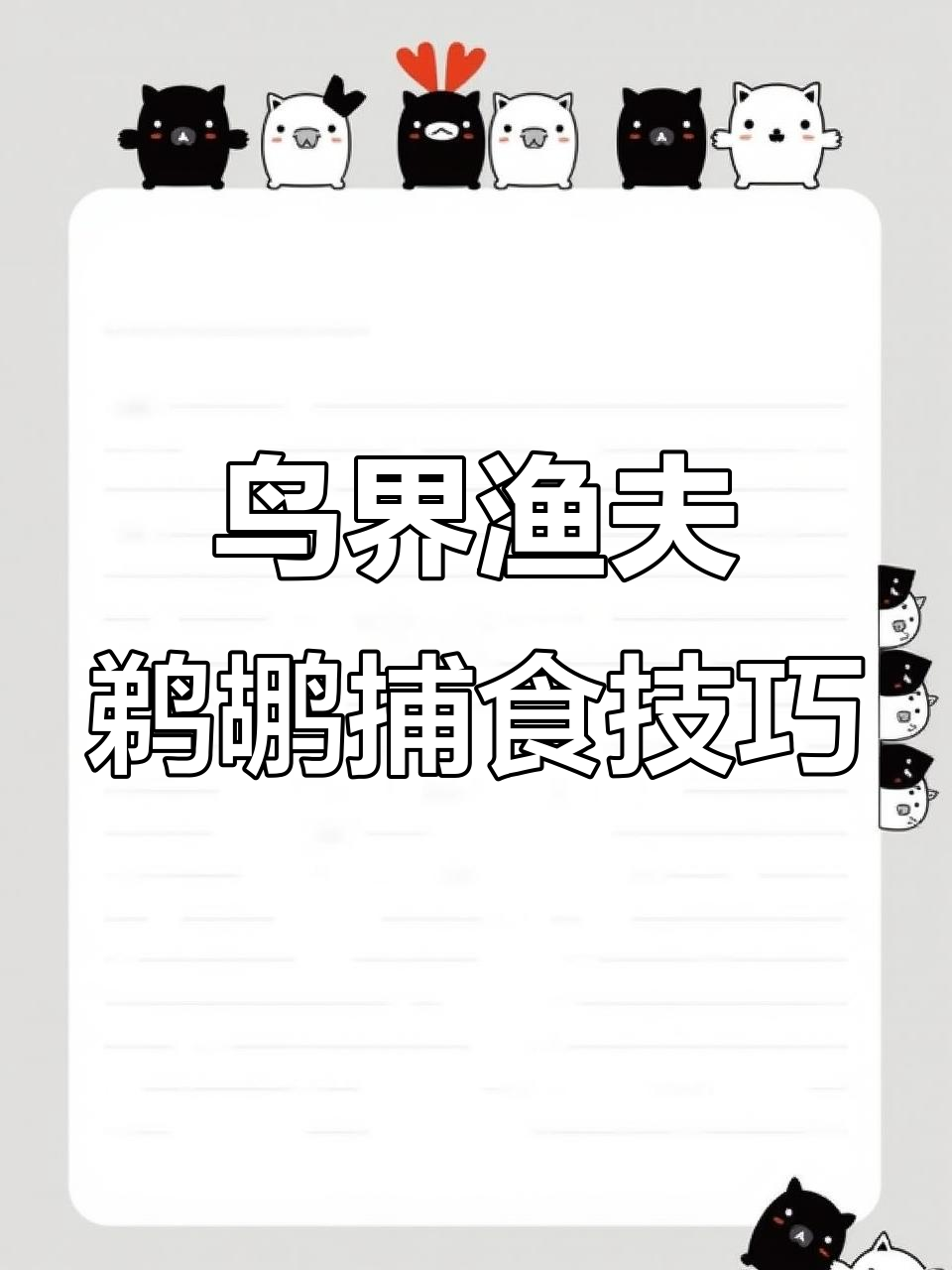 鹈鹕捕鱼大揭秘:如何用大嘴网住猎物