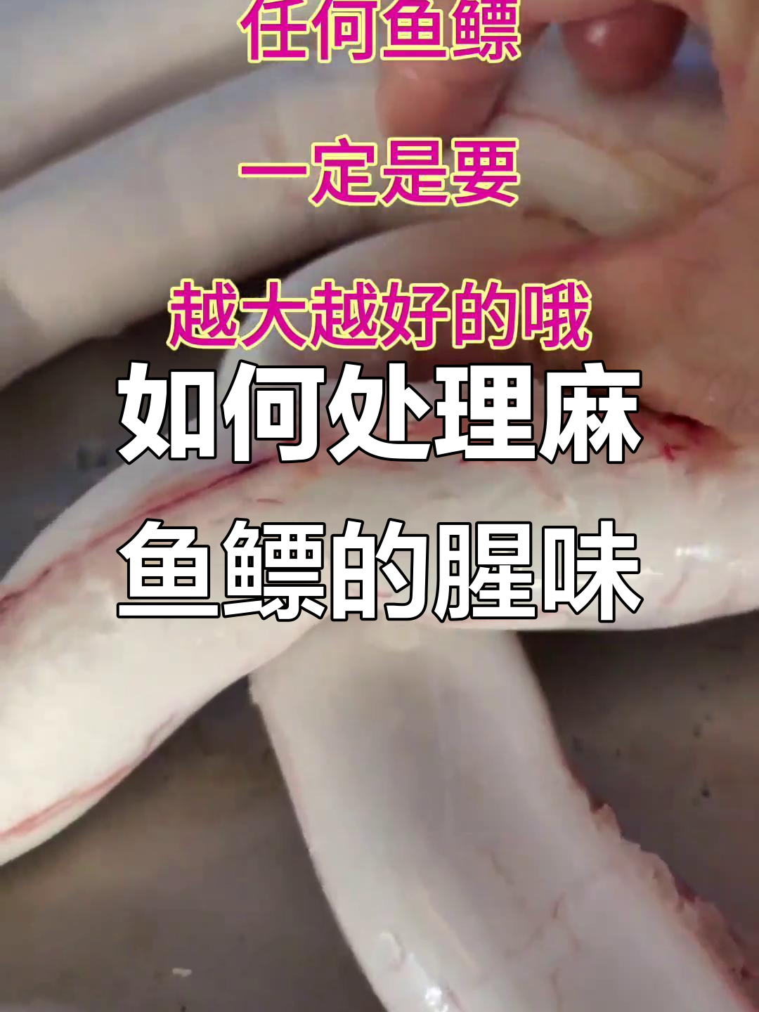 鱼鳔内膜腥臭难忍?教你快速去腥技巧