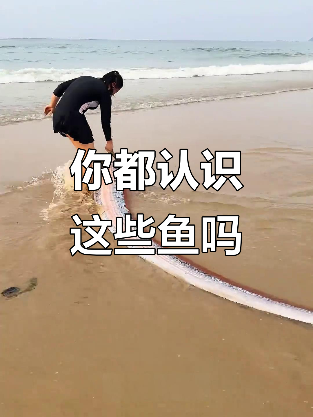 7种奇特鱼类,能吃吗?了解深海、发光锦鲤等