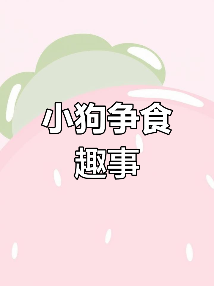 两只小金毛抢面包,萌态十足!