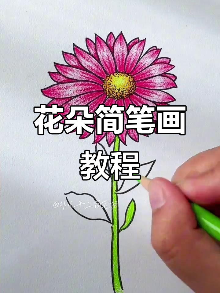 简单又好看的花朵画法,零基础也能轻松学会