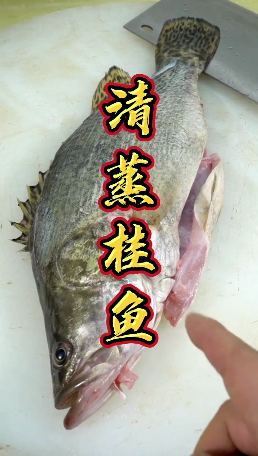 清蒸桂鱼