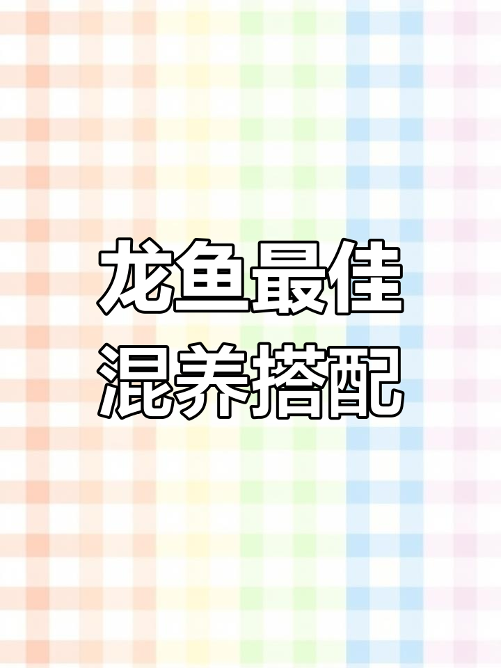 龙鱼混养推荐:哪些鱼类最适合