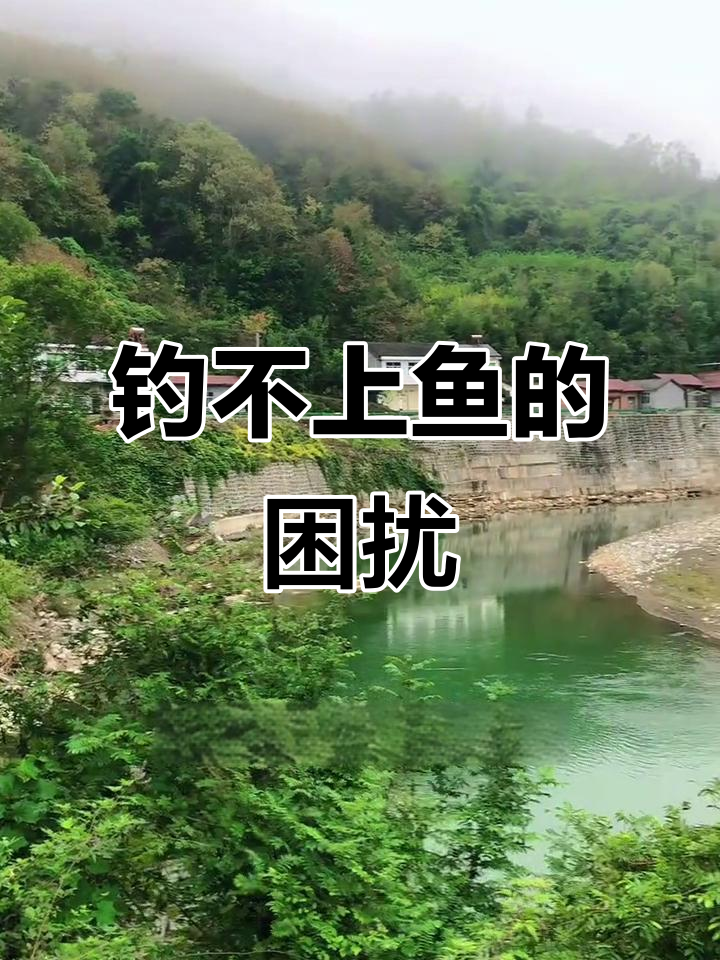 今天钓鱼,樱花鱼不咬钩,高手们有什么妙招吗?