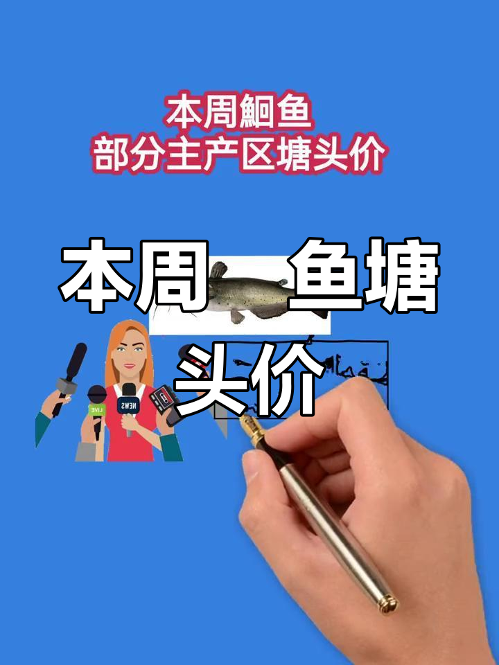 鮰鱼价格波动分析:主产区糖投价上涨