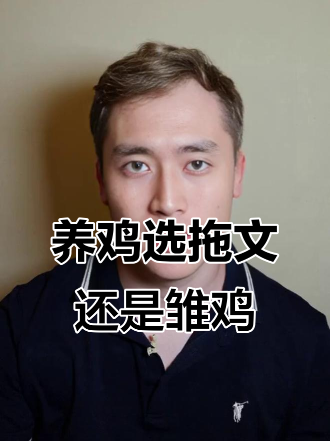 拖文鸡与出壳鸡苗,哪种更适合你?