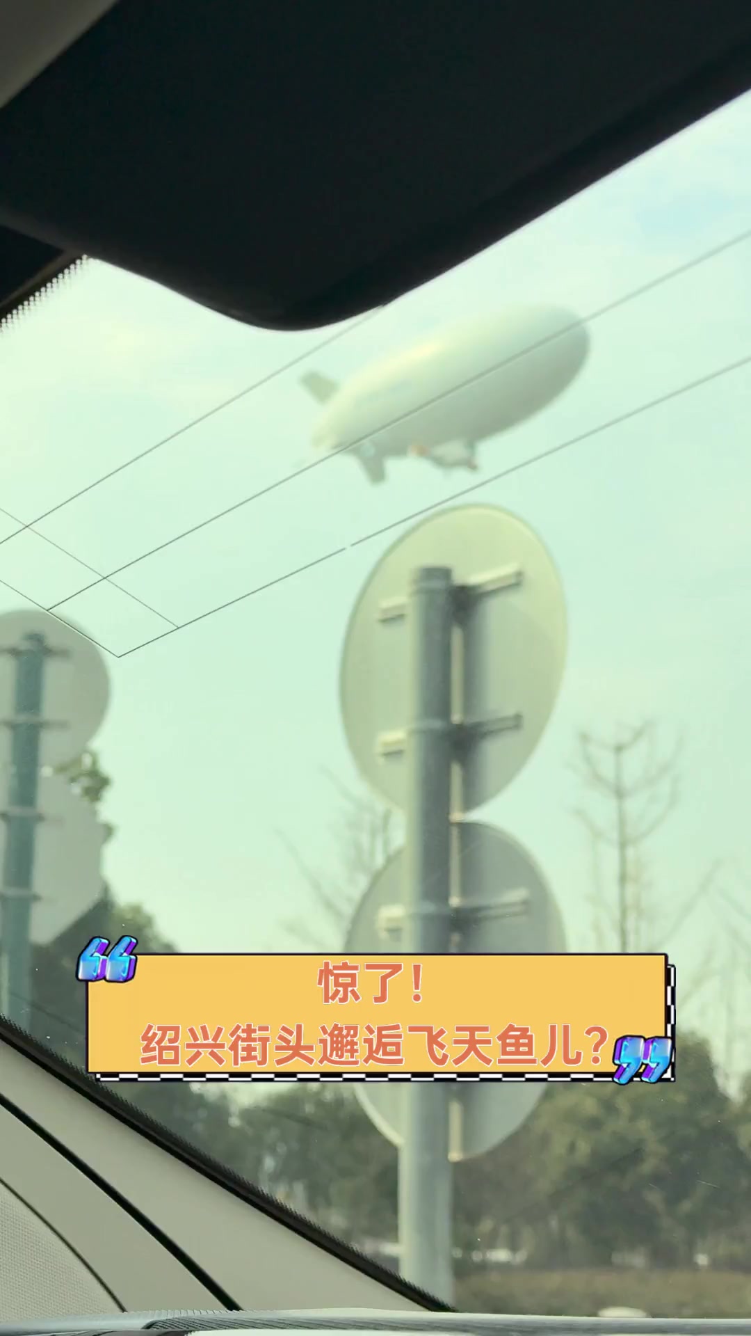 惊了!绍兴街头邂逅飞天鱼儿?