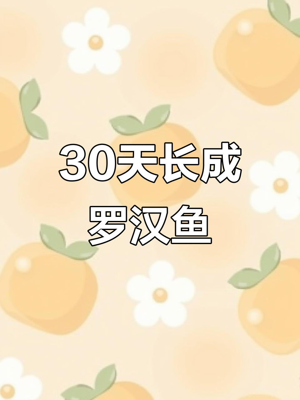 罗汉鱼苗30天成长，2-3厘米小精灵初具雏形