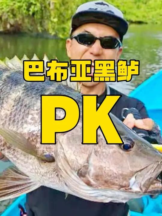 巴布亚黑鲈终极PK,鹿死谁手