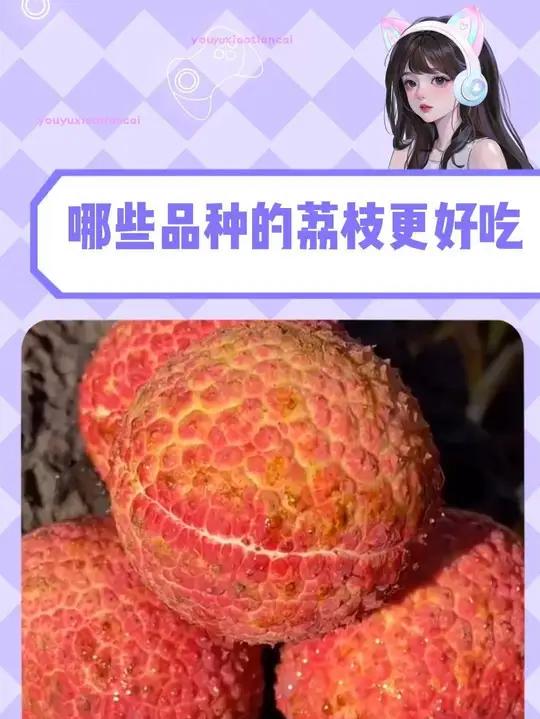 哪些品种的荔枝更好吃呢?还不码住!
