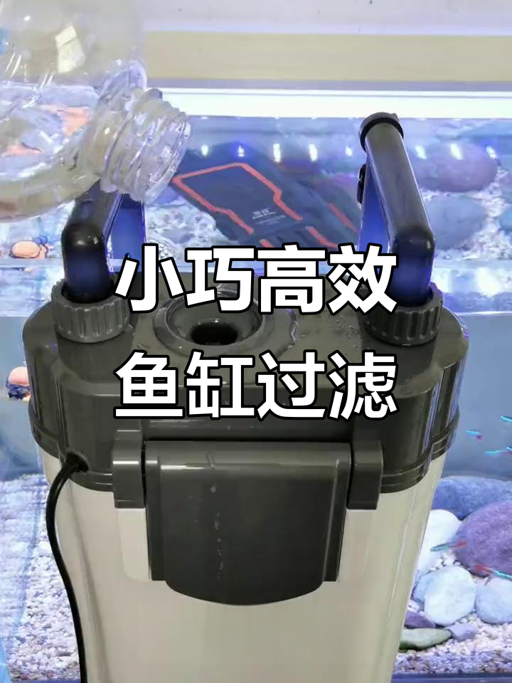 鱼缸小书包过滤器,除油膜增氧两不误