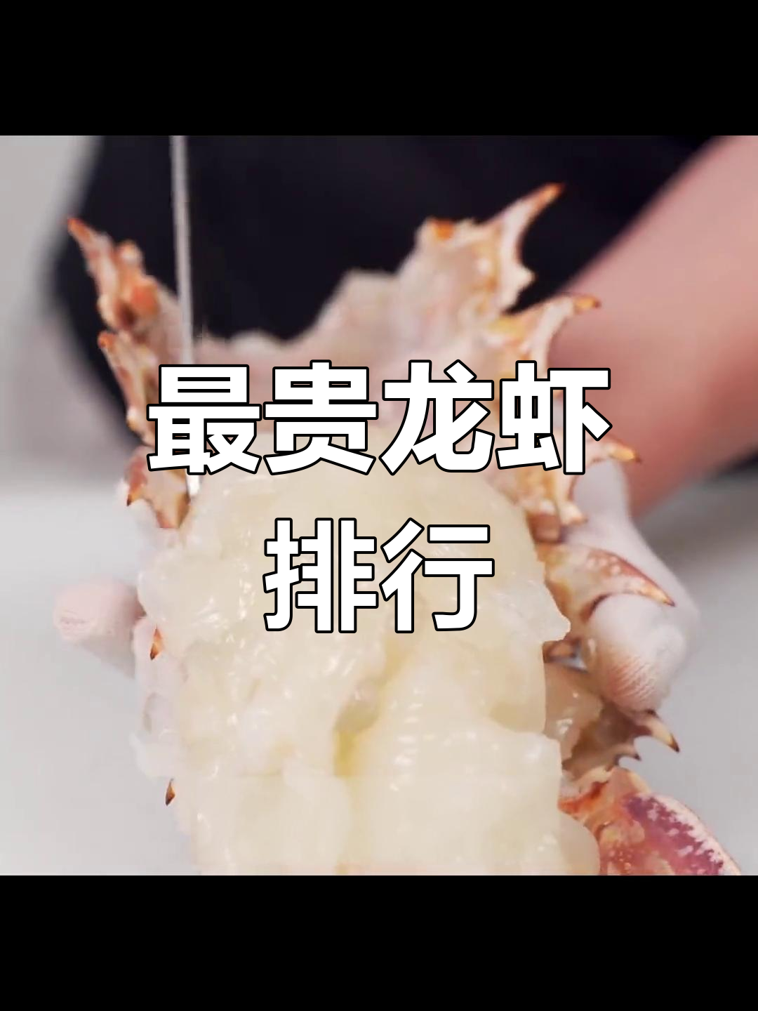 莫桑比克玫瑰龙:西非最昂贵的海鲜