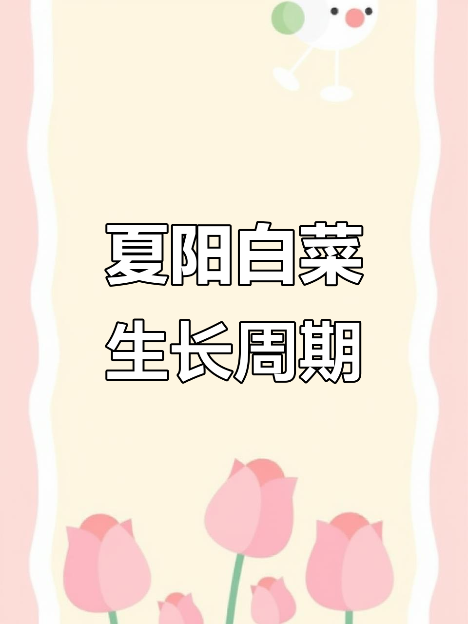 夏阳白菜种植期长,3月播6月收,8月再种9月初可收获