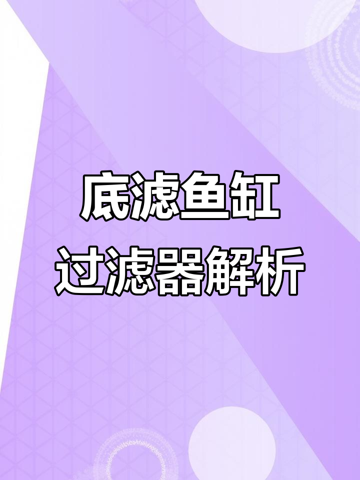 底滤式鱼缸过滤系统详解,打造高效水循环