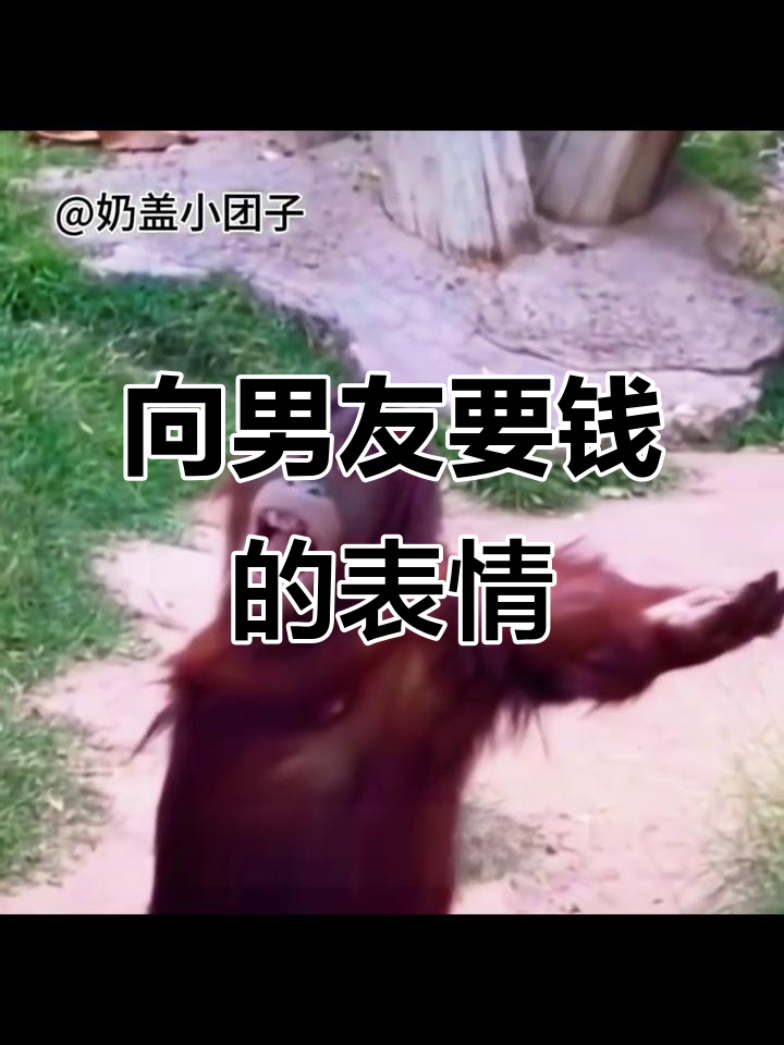 跟老公要钱时的搞笑表情包,太真实了!