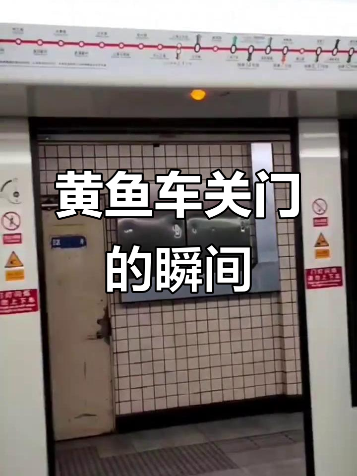 上海地铁黄鱼车全关门大合照,翻新后的老朋友们