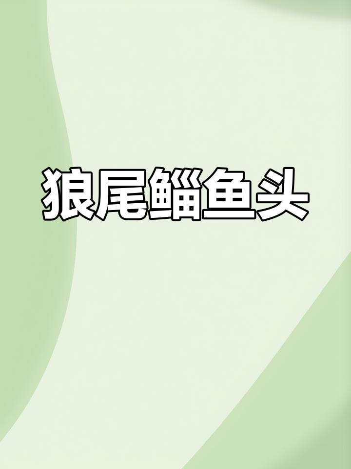 狼尾鲻鱼头,斩女必备新发型