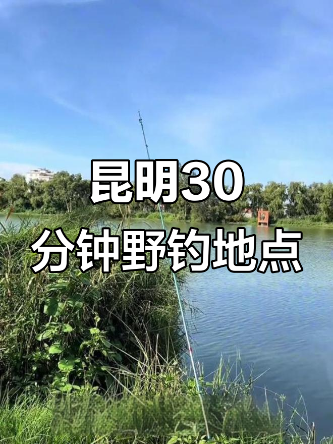 昆明周边30分钟免费钓鱼点,废弃水库大鲤鱼轻松钓