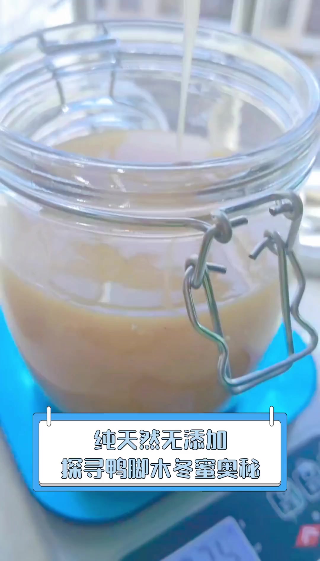 纯天然无添加,探寻鸭脚木冬蜜奥秘