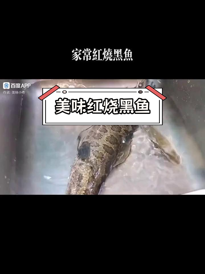 红烧黑鱼的家常做法,去腥技巧大公开
