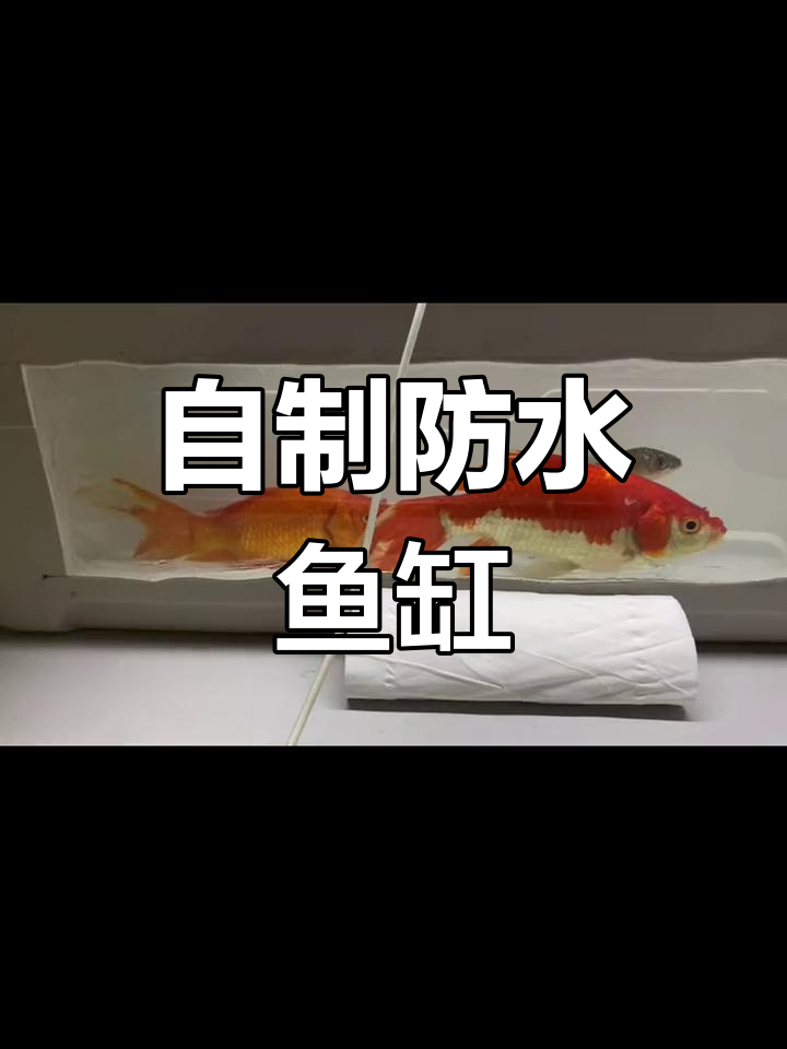 塑料薄膜鱼缸漏水，DIY修复新方法
