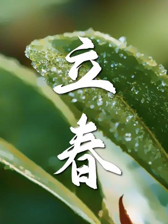 立春,人随春好,春与人宜。问东风,消息几时来?凛冬之寒渐渐退散,我们终于迎来了期盼已久的春