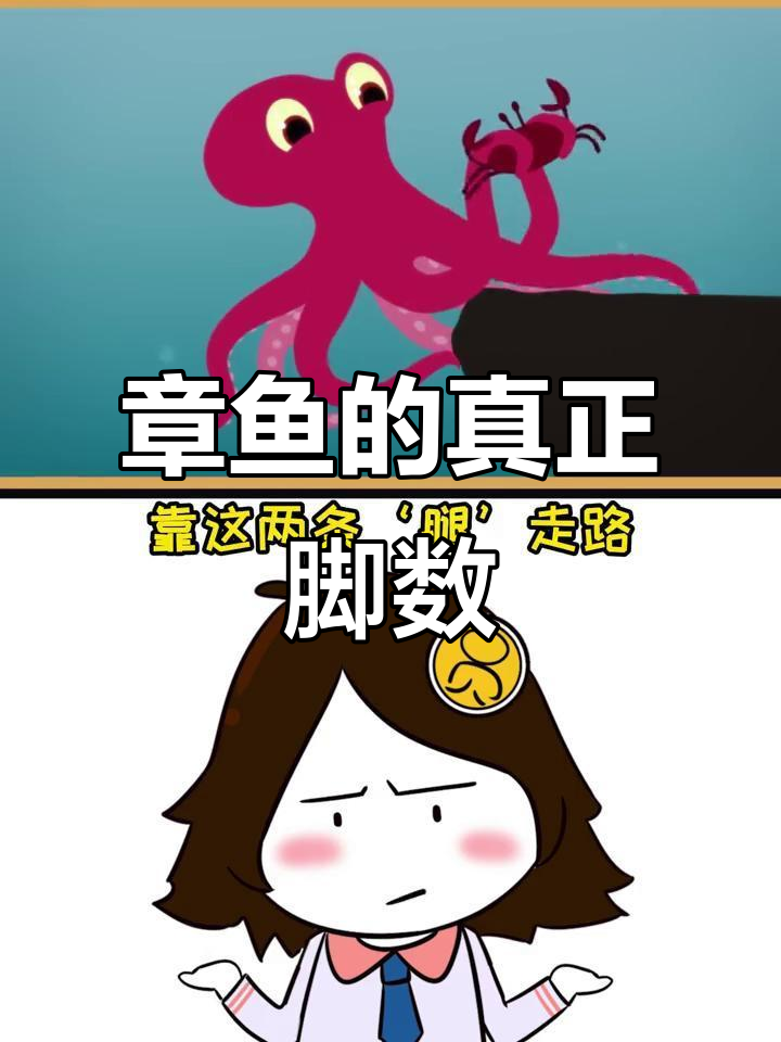 章鱼只有两只“脚”,其他都是手!