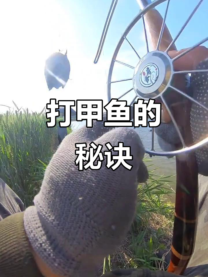 甲鱼枪使用技巧大揭秘,轻松捕捉超大甲鱼