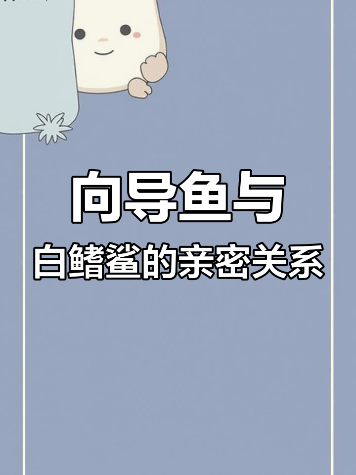 鲨鱼与向导鱼的“爱情”故事:海洋中的奇异伴侣关系