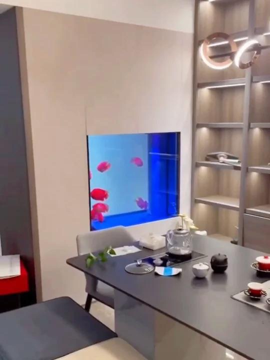 隔断嵌入式鱼缸两面看一柜开门一假墙体效果
