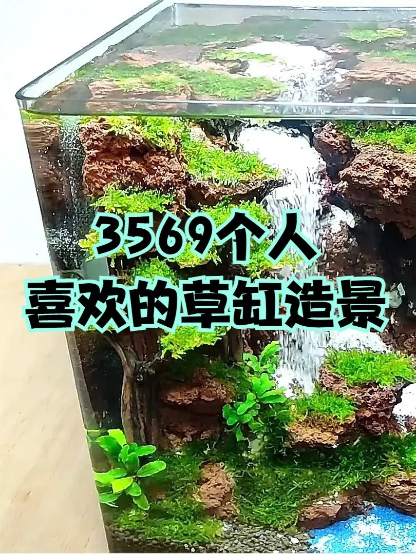 100人喜欢的草缸造景,30厘米鱼缸造景教程