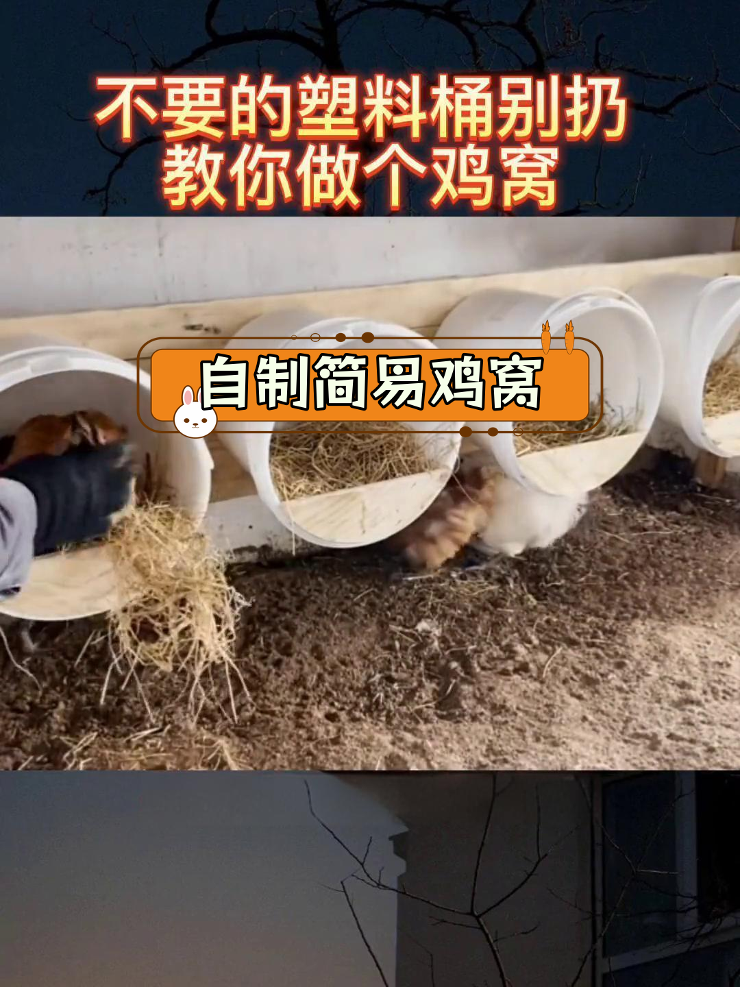 废旧塑料桶变鸡窝,轻松搭建舒适环境