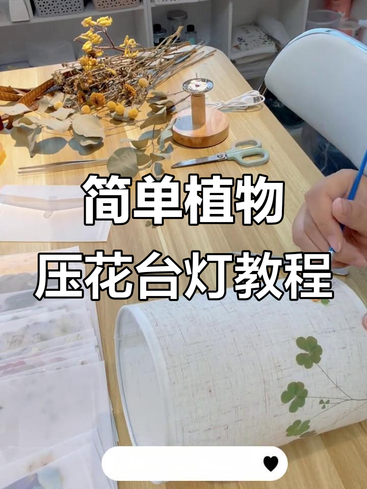 手残党也能轻松DIY植物压花台灯,效果惊艳!