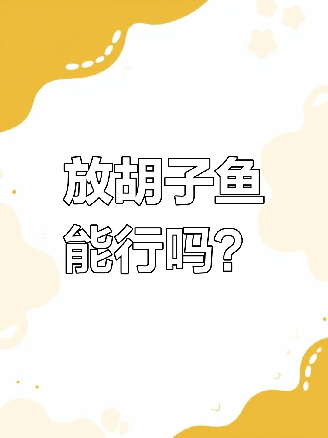 迷你鹦鹉鱼缸里放胡子鱼的后果,竟然是这样!