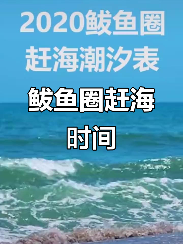 2023鲅鱼圈赶海潮汐表,掌握最佳时机