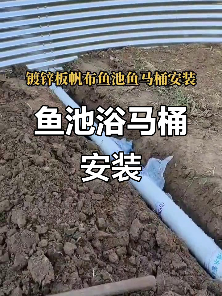 高密度养殖鱼池安装现场,镀锌板帆布浴马桶细节展示
