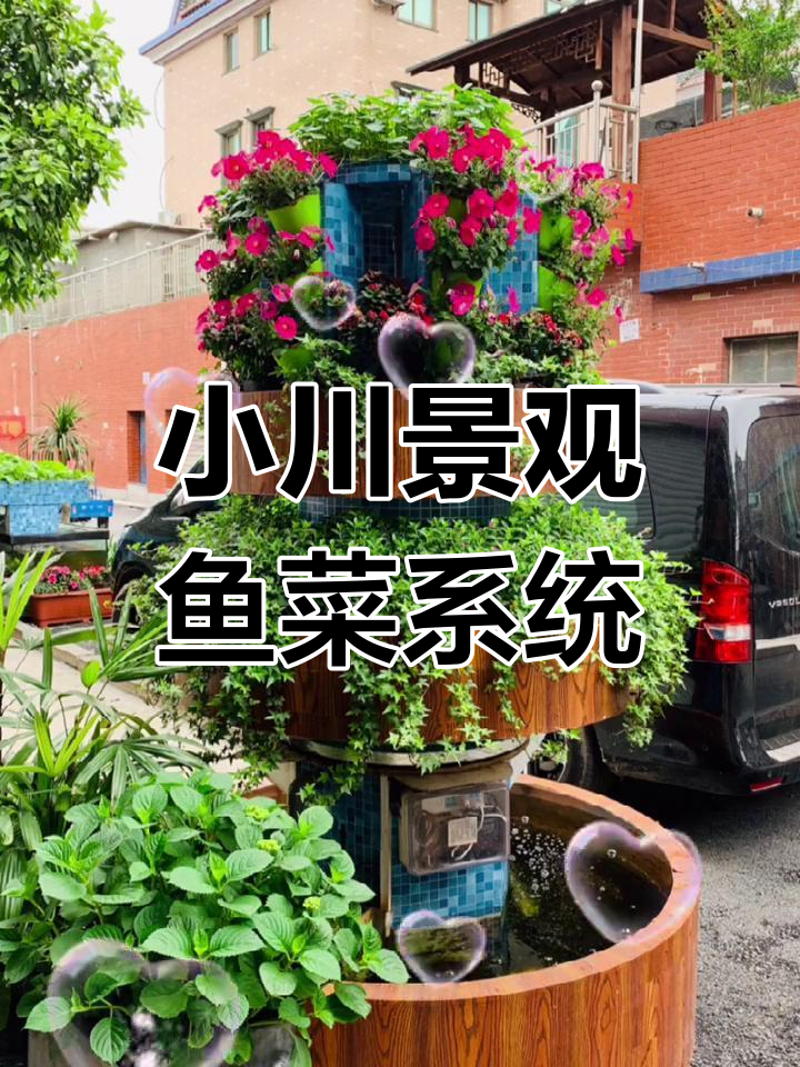 阳台景观鱼菜共生,打造绿色小菜园与亲子乐园