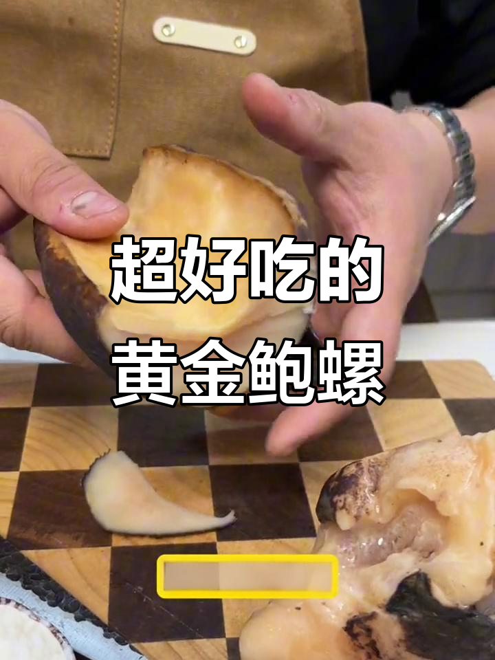 塞内加尔野生黄金鲍螺，鲜嫩Q弹超美味
