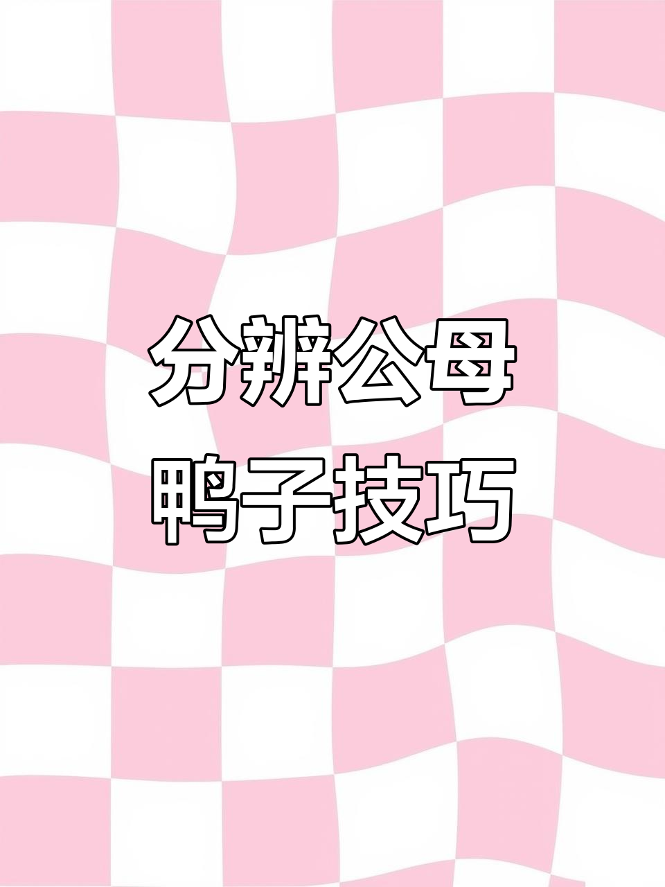 公鸭母鸭怎么选？教你辨别酱板鸭的性别