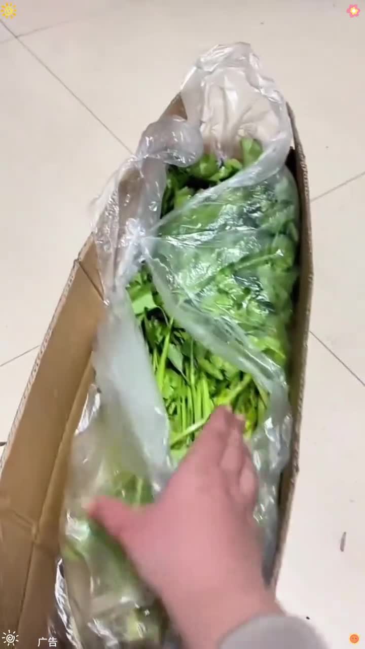 我才花了13.8买了五斤芹菜,本来图便宜买的,没想到收到货品质也太好了,我们这边超市一斤都